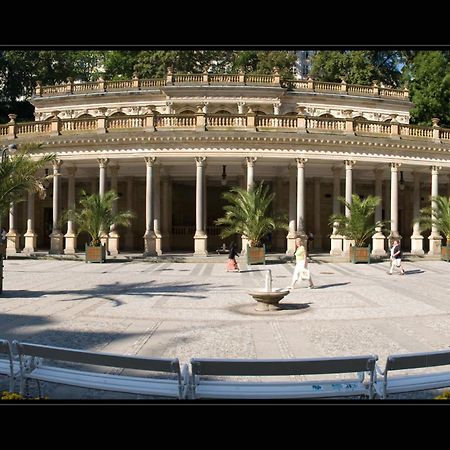 Pension Napoleon Karlovy Vary Ngoại thất bức ảnh