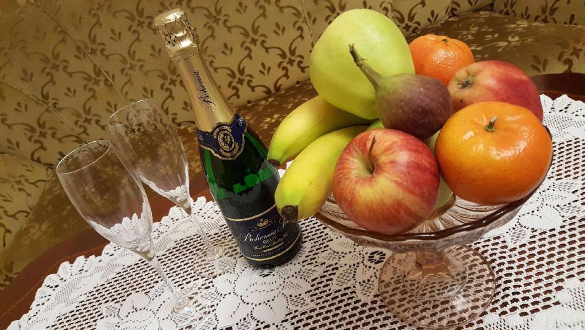 Pension Napoleon Karlovy Vary Ngoại thất bức ảnh